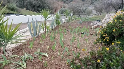 Jardín al aire libre en Finca Las Minas - Studio