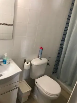Un baño de Apartamento Alameda 3ºA