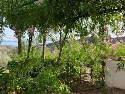 Paisaje cerca of this country house