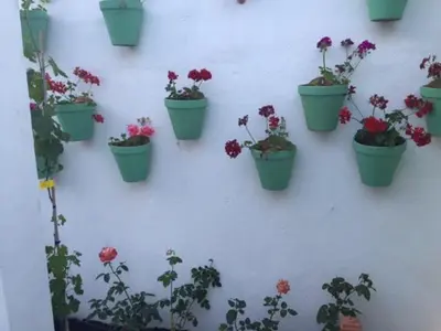 Jardín al aire libre en Casa Spa de la Mariola