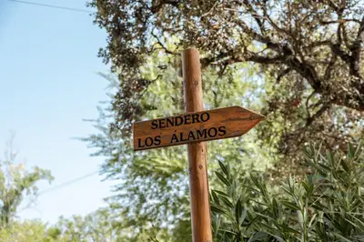 Plano de Bungalows Los Álamos de El Pedroso