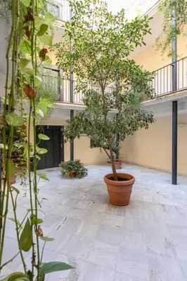 Jardín al aire libre en GoToSeville San Bernardo