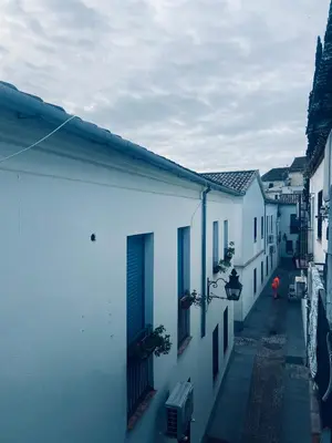 El barrio de los alrededores o un barrio cerca de este apartamento