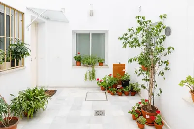 Jardín al aire libre en Wish Suite San Roman