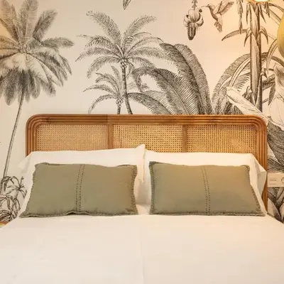 Suite Cozy