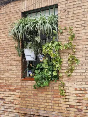 Jardín al aire libre en Bright Apartment in Seville with Private Garden