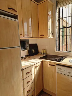 Una cocina o zona de cocina en Bright Apartment in Seville with Private Garden