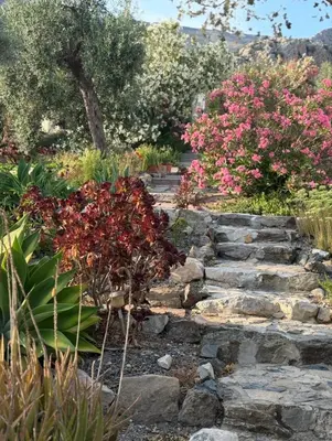 Jardín al aire libre en Casa Anita - La Almona Chica