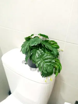 Plano de Apartamento Cordobés