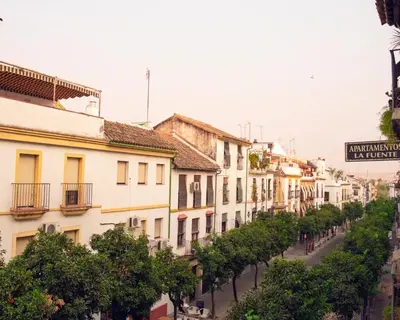 El barrio de los alrededores o un barrio cerca de este apartamento