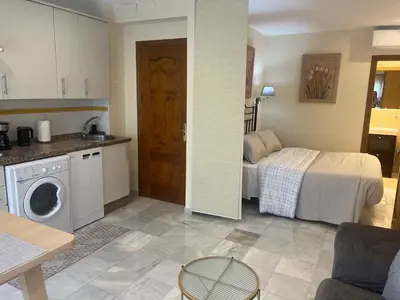 Una cocina o zona de cocina en Apartamentos San Fernando 62