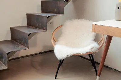 Plano de Style & Design Suite