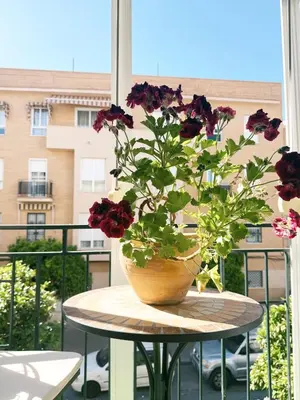 Un balcón o terraza de El balcón de la Luz