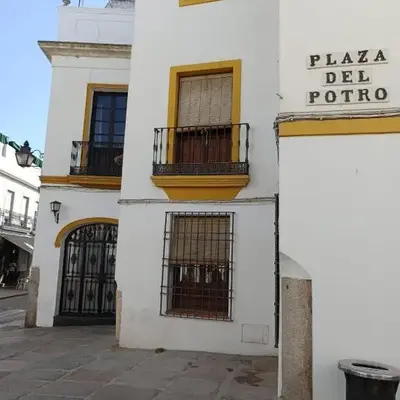 Posada del Potro Apartment