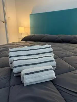 Cama o camas de una habitación en Apartamentos Álamo