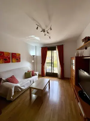 Una televisión o centro de entretenimiento en Apartamento Plaza Ibros