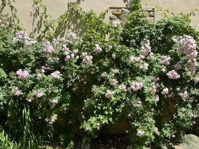 Jardín al aire libre en Casa con jardín y piscina en Córdoba