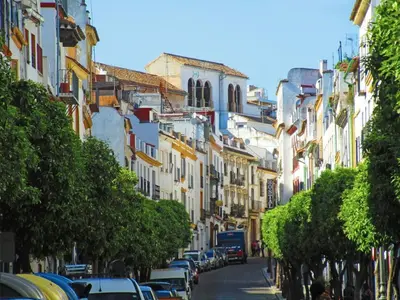 El barrio de los alrededores o un barrio cerca de este apartamento
