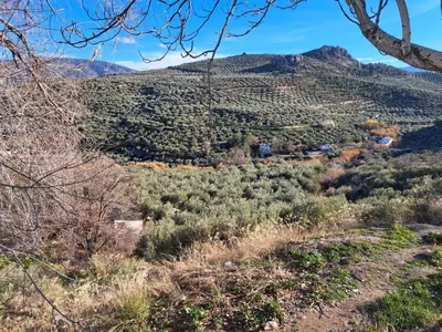 Paisaje cerca de este apartamento