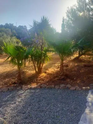 Paisaje cerca de este bed & breakfast