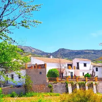 Suitur Cortijo de Don Lolo