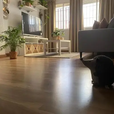 habitacion acogedora con limpieza incluida- buena conexion