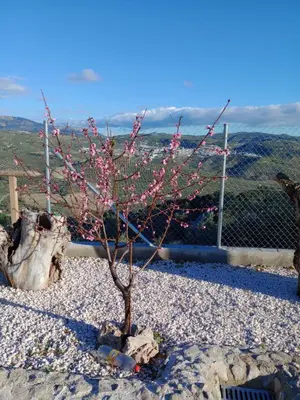 Paisaje cerca de esta casa o chalet