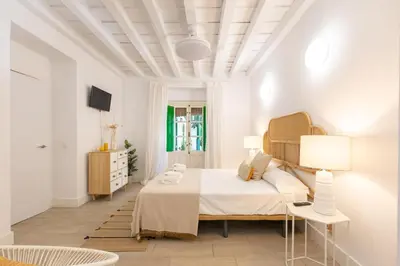 Cama o camas de una habitación en Alcazares Deluxe Suite by Valcambre