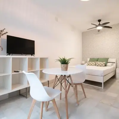 Apartamentos Alameda de Hércules
