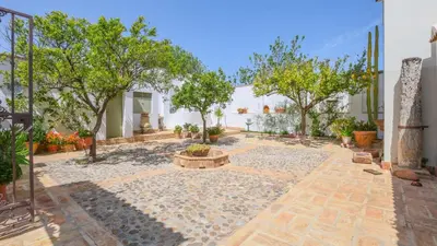 Jardín al aire libre en Finca El Olivo Llorón Montilla by Ruralidays