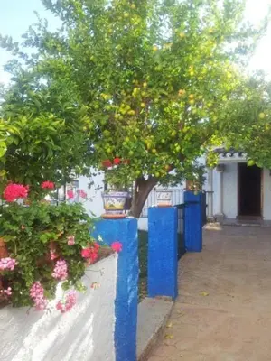 Jardín al aire libre en Casa Carmela