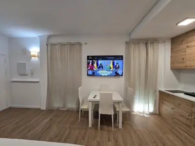 Una televisión o centro de entretenimiento en Deluxe Alameda studio
