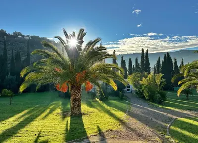 Paisaje cerca de este apartamento