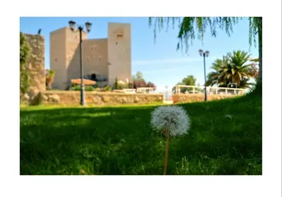 Jardín al aire libre en Parador de Jaén