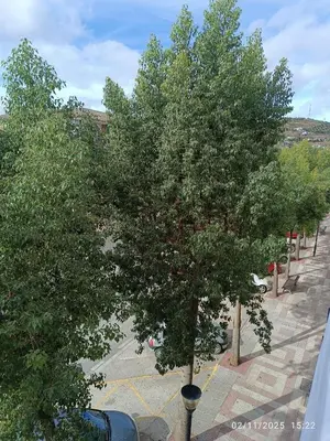 Plano de Alojamientos, BALCÓN A LA SIERRA AHILLOS