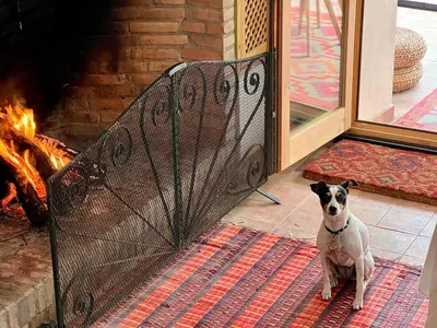 Mascotas con sus dueños en Casa Rural El Concejo, con piscina