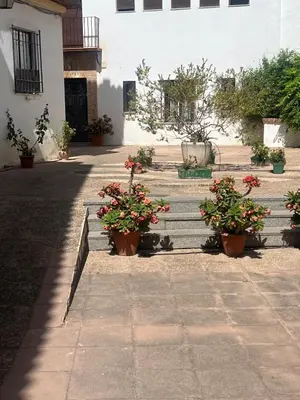 Jardín al aire libre en La Sacristía de San Pablo