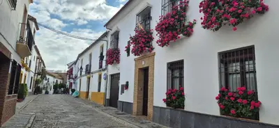 El barrio de los alrededores o un barrio cerca de este apartamento