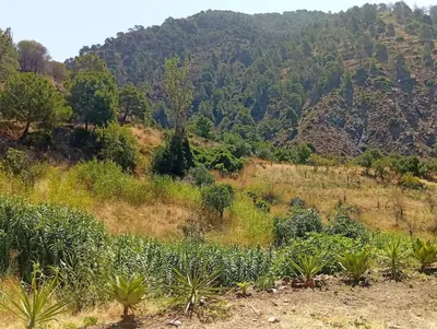 Paisaje cerca de esta villa