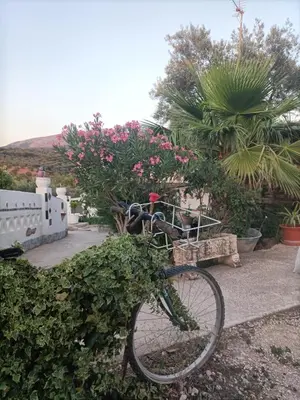 Jardín al aire libre en Villa Sol
