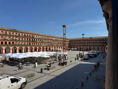 El barrio de los alrededores o un barrio cerca de este apartamento