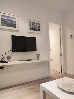 Una televisión o centro de entretenimiento en Osario Suite