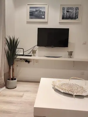 Una televisión o centro de entretenimiento en Osario Suite