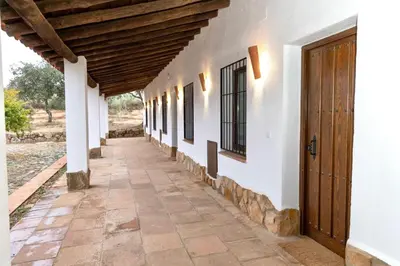 Plano de Cerro Caña: Naturaleza Confort y Exclusividad