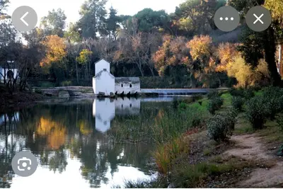 Paisaje cerca de este apartamento