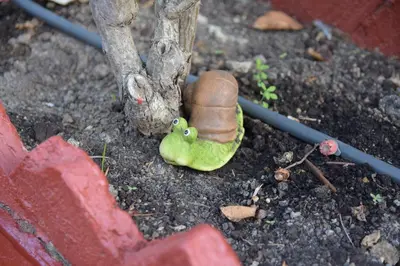 Plano de La Casa de los Duendes