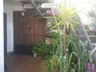 Jardín al aire libre en 