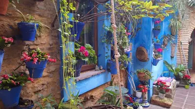 Jardín al aire libre en El patio azul Bohemio Mágico