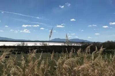 Paisaje cerca de este apartamento