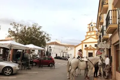 Animales en el apartamento o alrededores